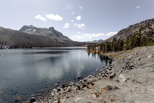蔚蓝的天空下，树木和岩石环绕着一片令人惊叹的山间湖泊，捕捉到宁静的自然风光