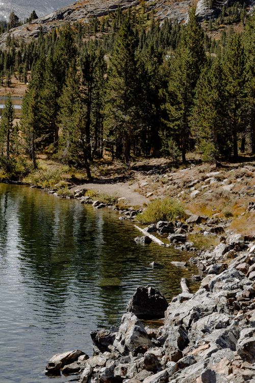 Free Calm mountain lake surrounded by pine trees and rocky shorelines in autumn. Stock Photo