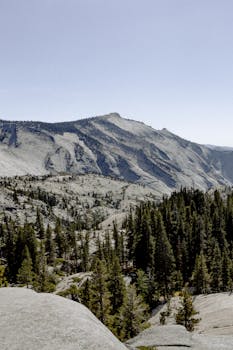 在晴朗的蓝天下，探索优胜美地国家公园令人惊叹的山脉和森林景观