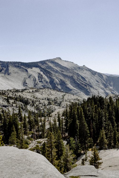Free Explore the breathtaking mountain and forest landscape of Yosemite National Park under clear blue skies. Stock Photo