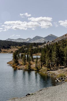 宁静的湖泊被松树和雄伟的山脉环绕，映衬在明亮的天空下