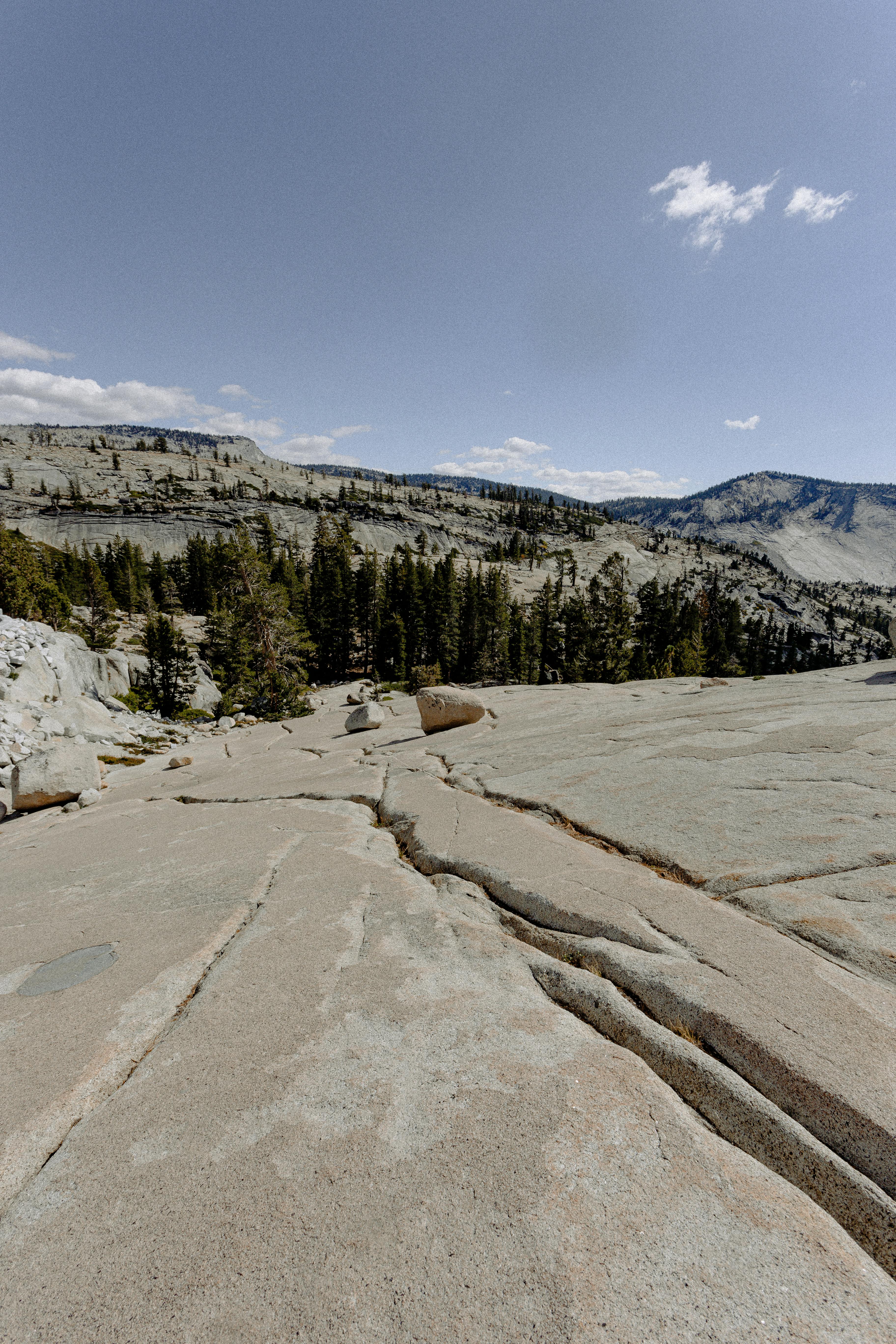 蓝天下，内华达山脉的壮丽景色、崎岖的岩石地形和郁郁葱葱的松树尽收眼底