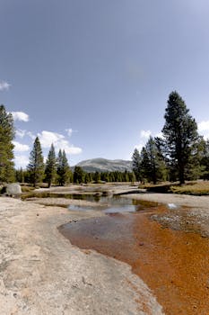 山溪风景令人惊叹，天空晴朗，绿树成荫