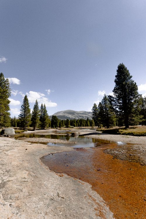 Free Stunning landscape of a mountain stream with clear skies and lush green trees. Stock Photo