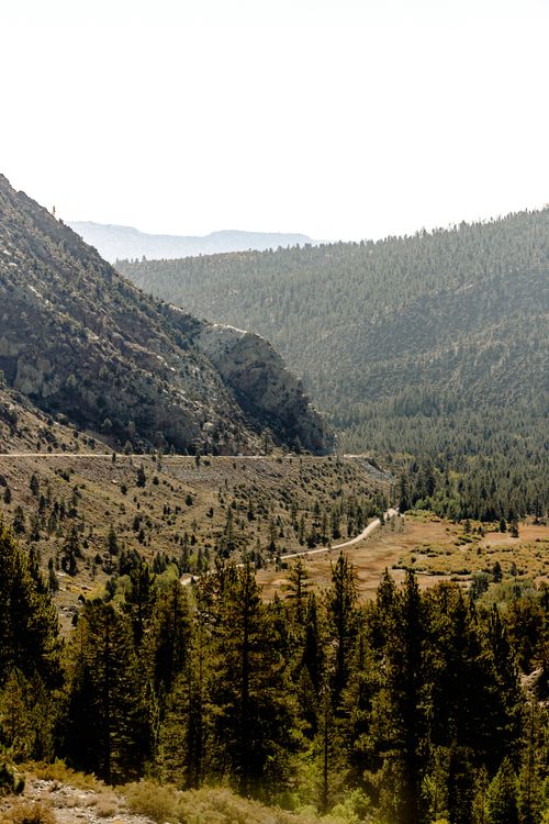 Free Aerial view of a sunny mountain valley with lush pine forests and a winding road. Stock Photo