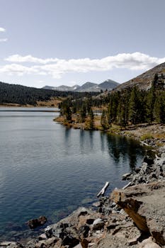在茂密的森林和崎岖的山峰的环绕下，宁静的山间湖泊静卧于多云的天空之下