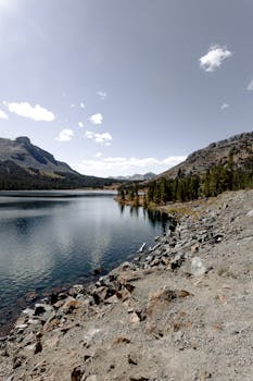 天空晴朗，宁静的山间湖泊周围环绕着岩石地形和松林