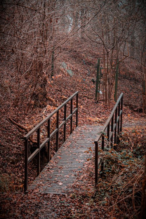 Free bridge Stock Photo