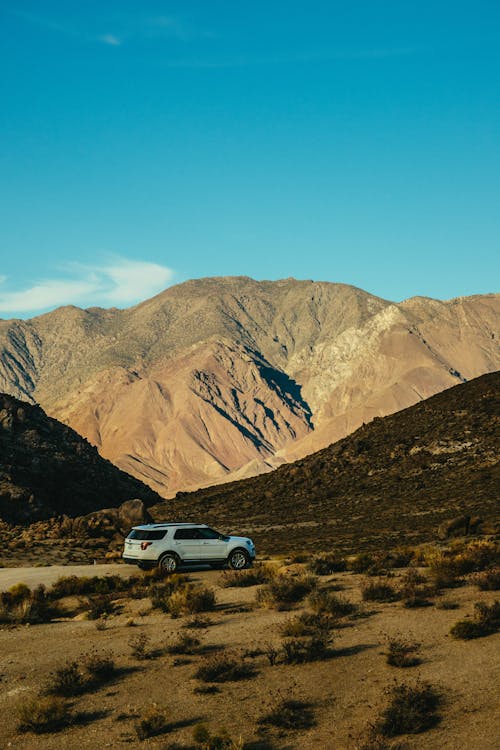 Free White Suv on Road Stock Photo