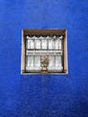 Blue Wall with Window and Floral Pot