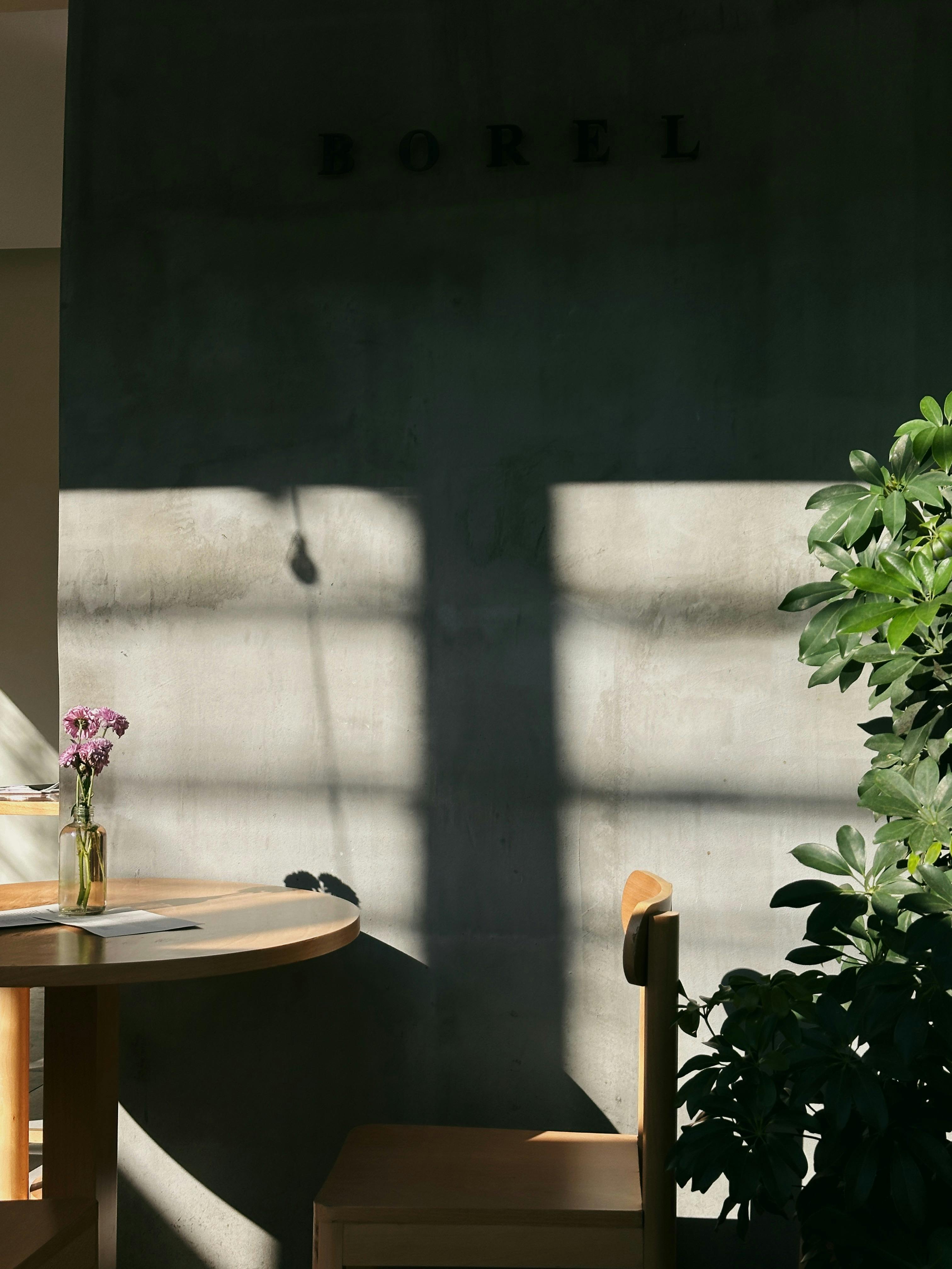 A minimalist cafe corner in Mexico City with sunlight and greenery.
