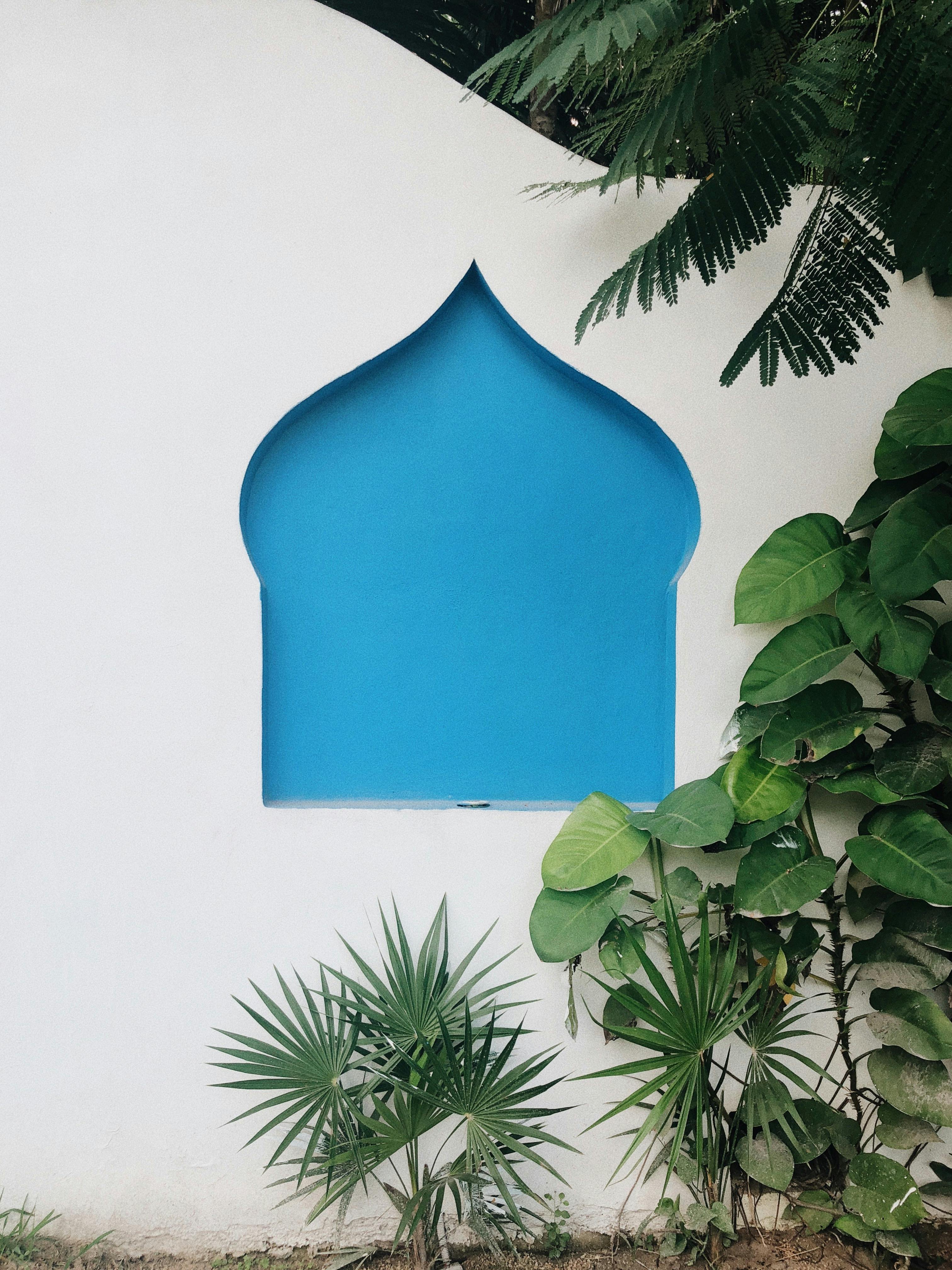 A minimalist blue arched window on a white wall surrounded by tropical leaves in Tulum, Mexico.