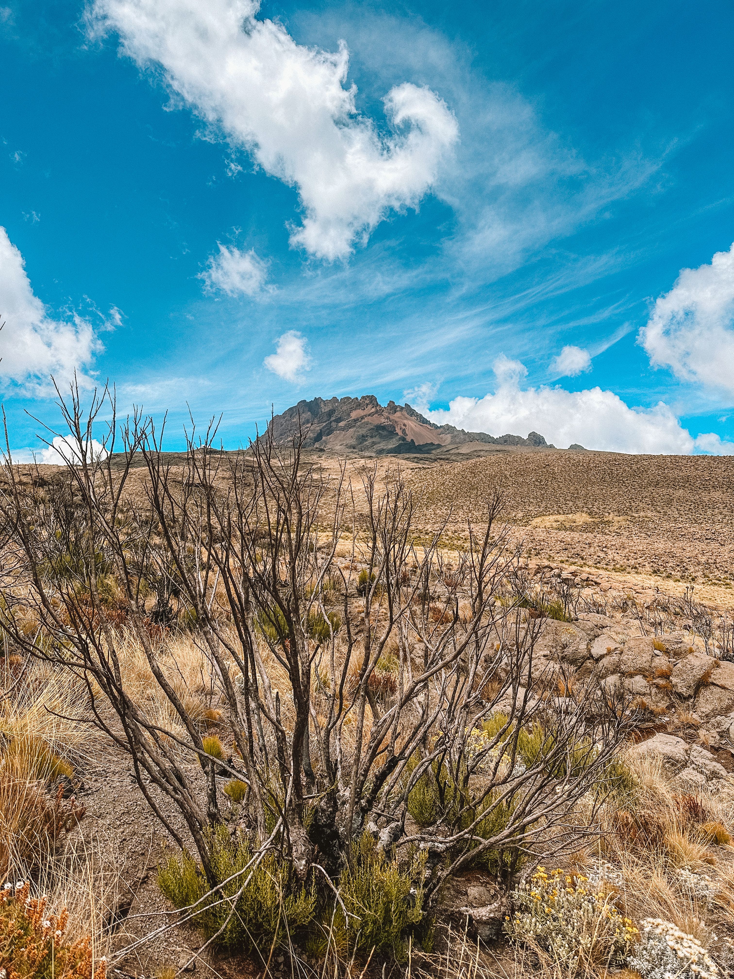 Breathtaking view of Mount Kilimanjaro's rugged landscape under a vibrant blue sky.