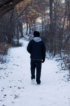 A person walking down a snow-covered path in a winter forest in Toronto, Canada.