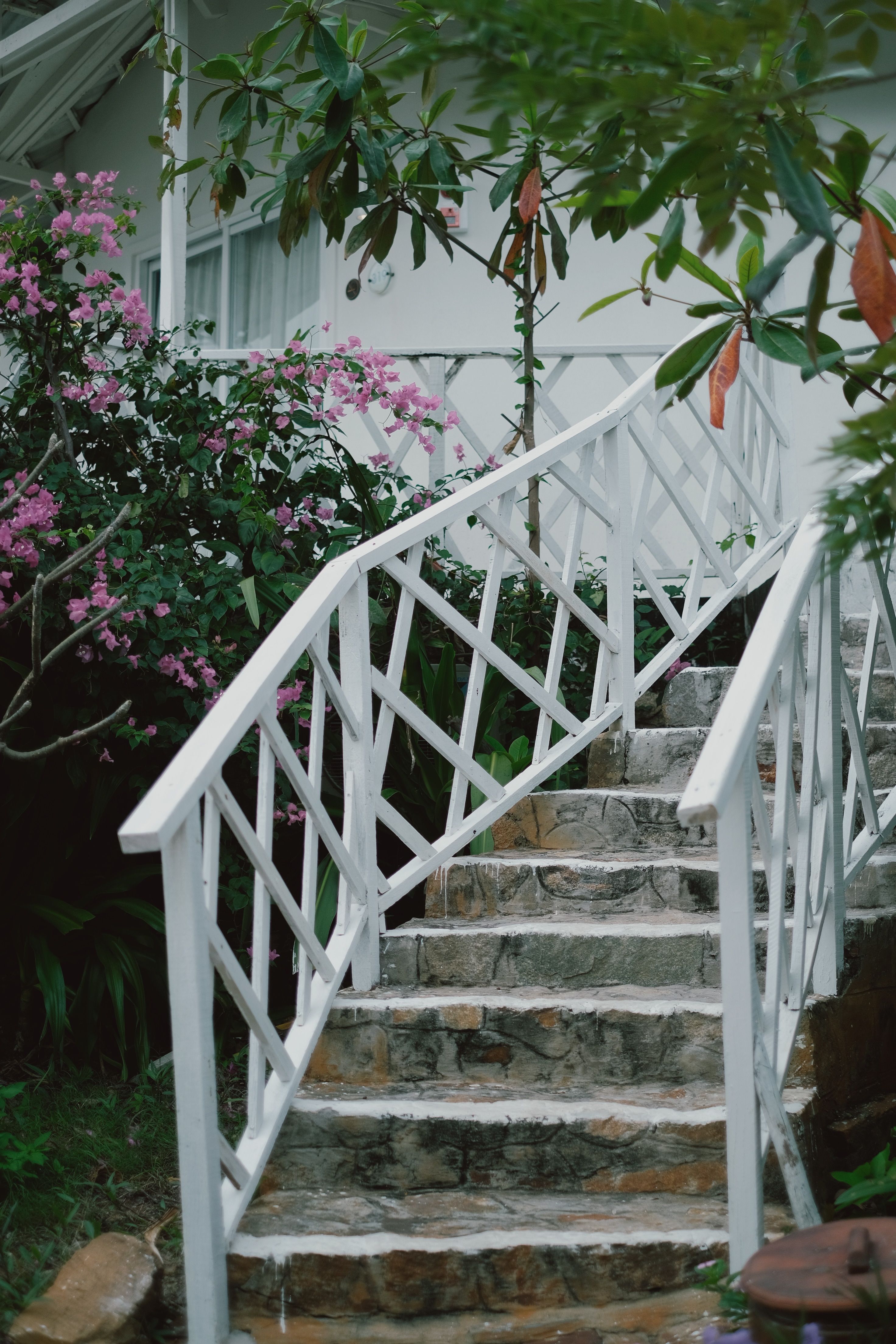 Blooming Path Photos, Download The BEST Free Blooming Path Stock