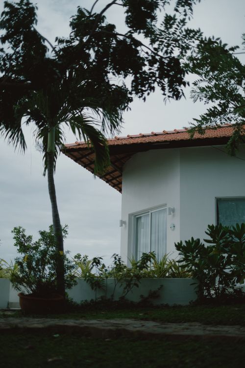 Free A modern white tropical house surrounded by lush greenery and palm trees under an overcast sky. Stock Photo