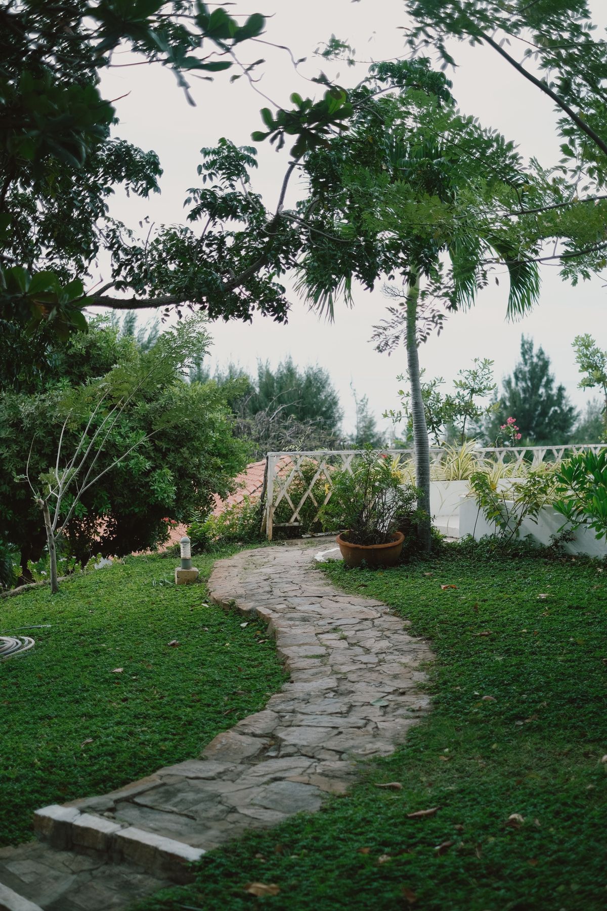 Full Landscape Design