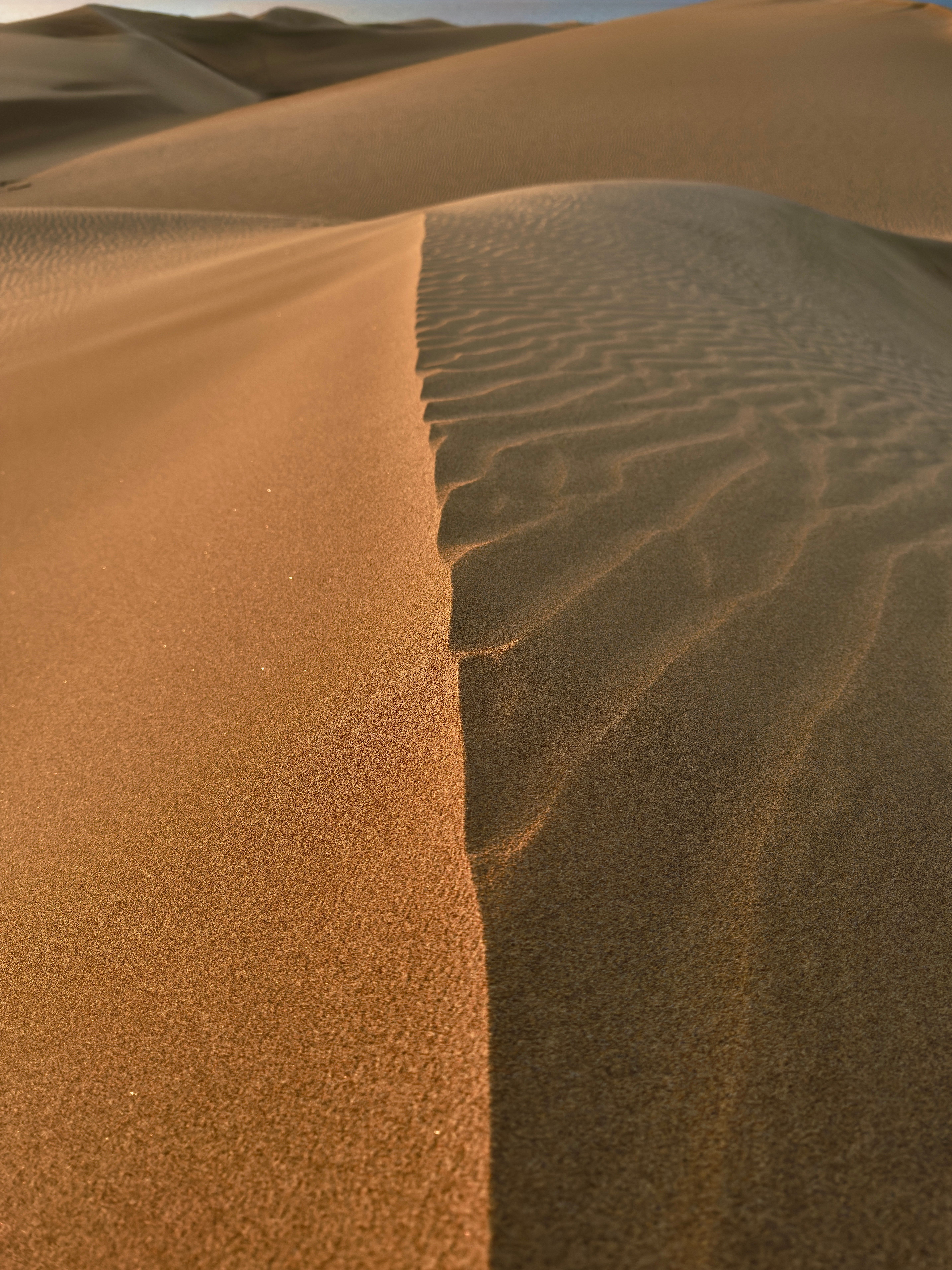 Golden Sand Dunes at Sunset · Free Stock Photo