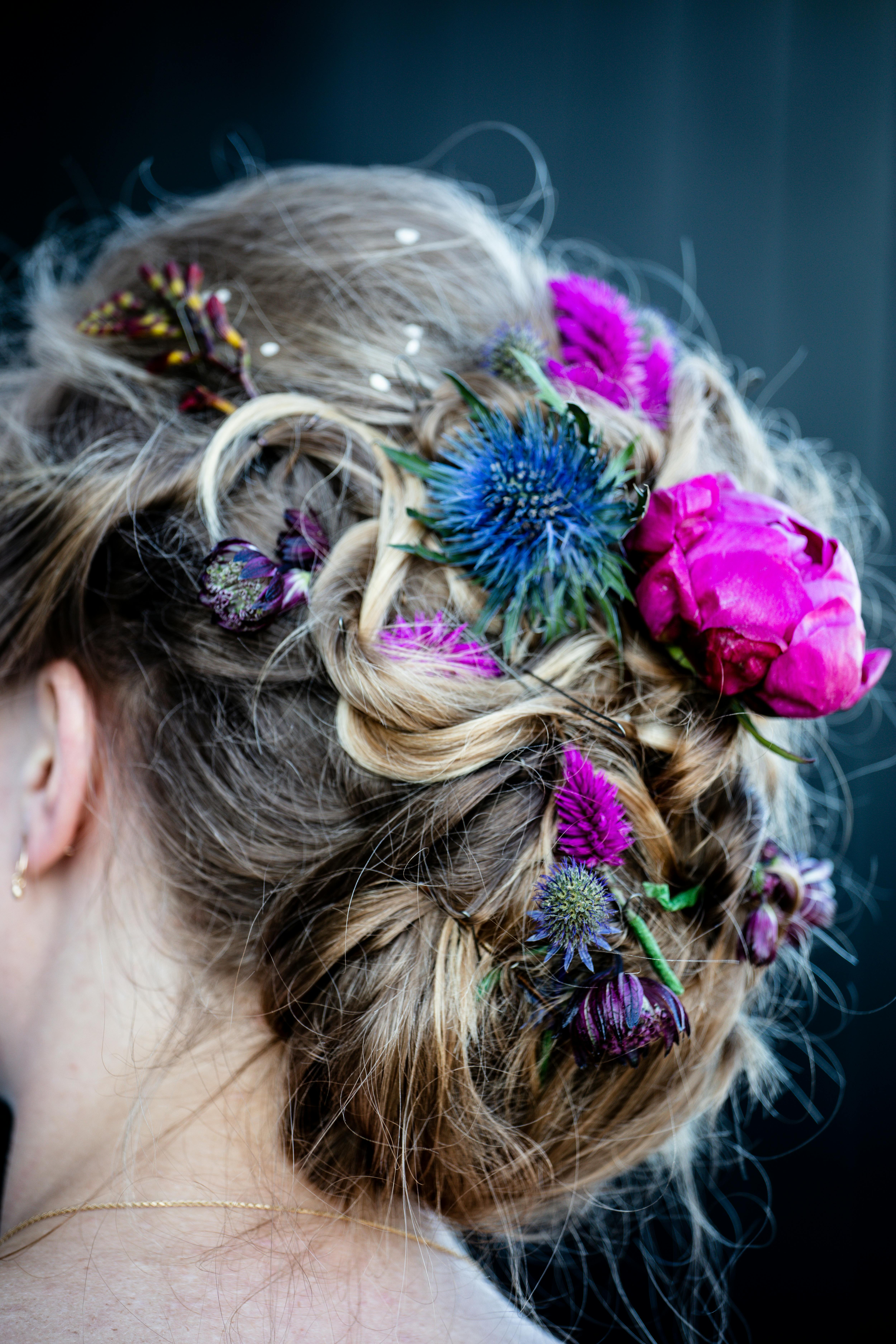 Woman's Hairstyle · Free Stock Photo
