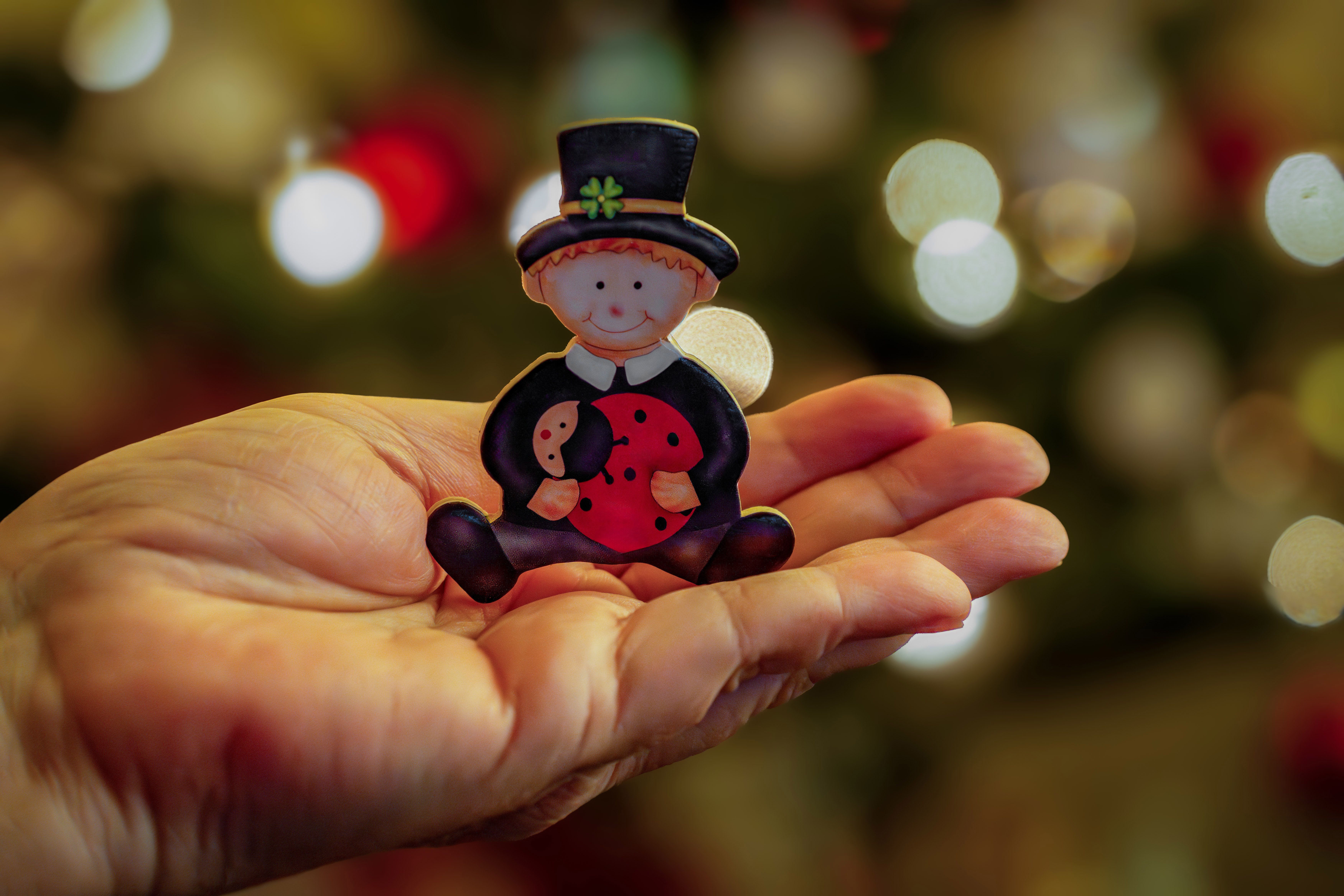 Charming Figure with Ladybug in Hand against Festive Background · Free ...