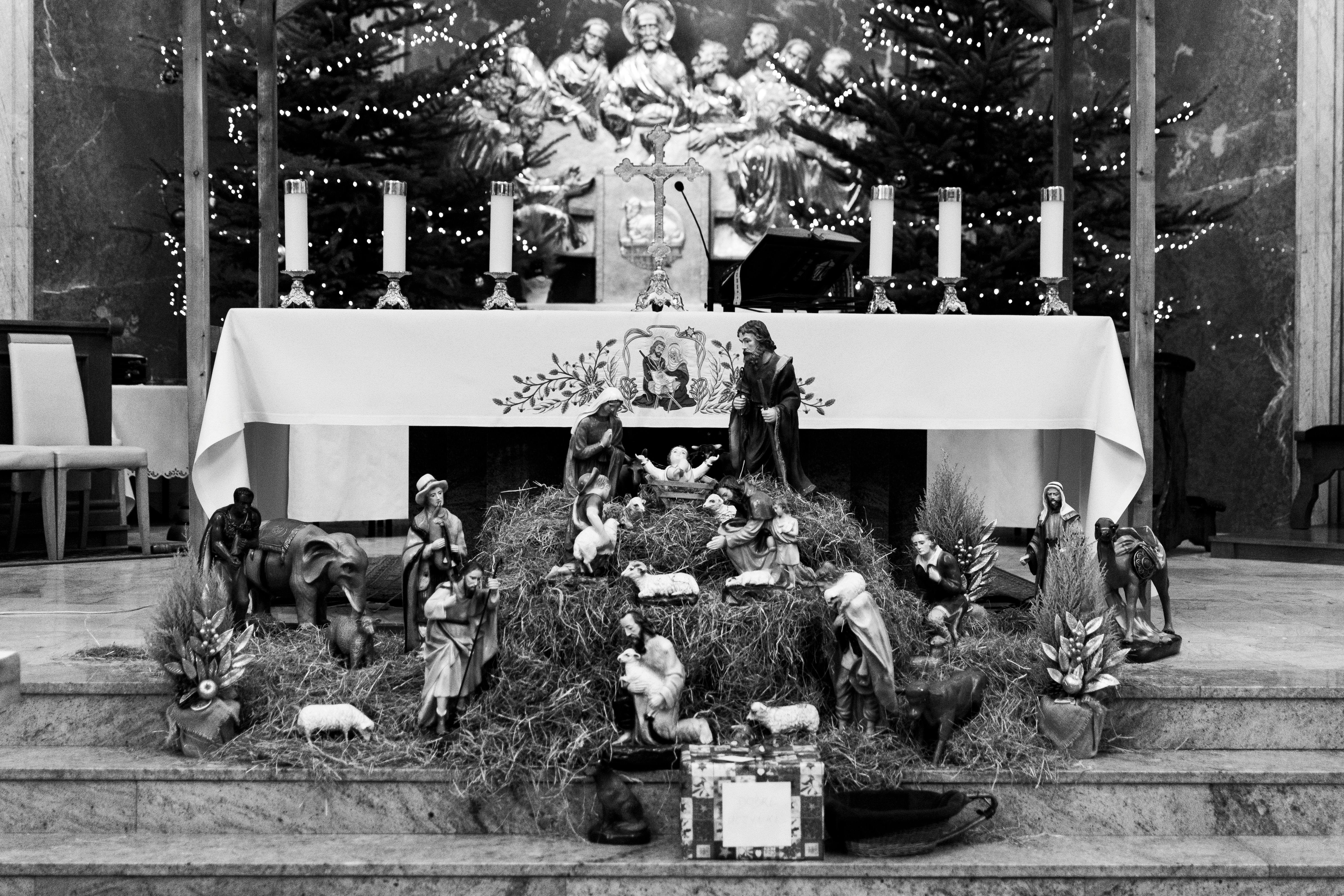 Black and white photo of a nativity scene in a Wrocław church, featuring statues and Christmas decor.
