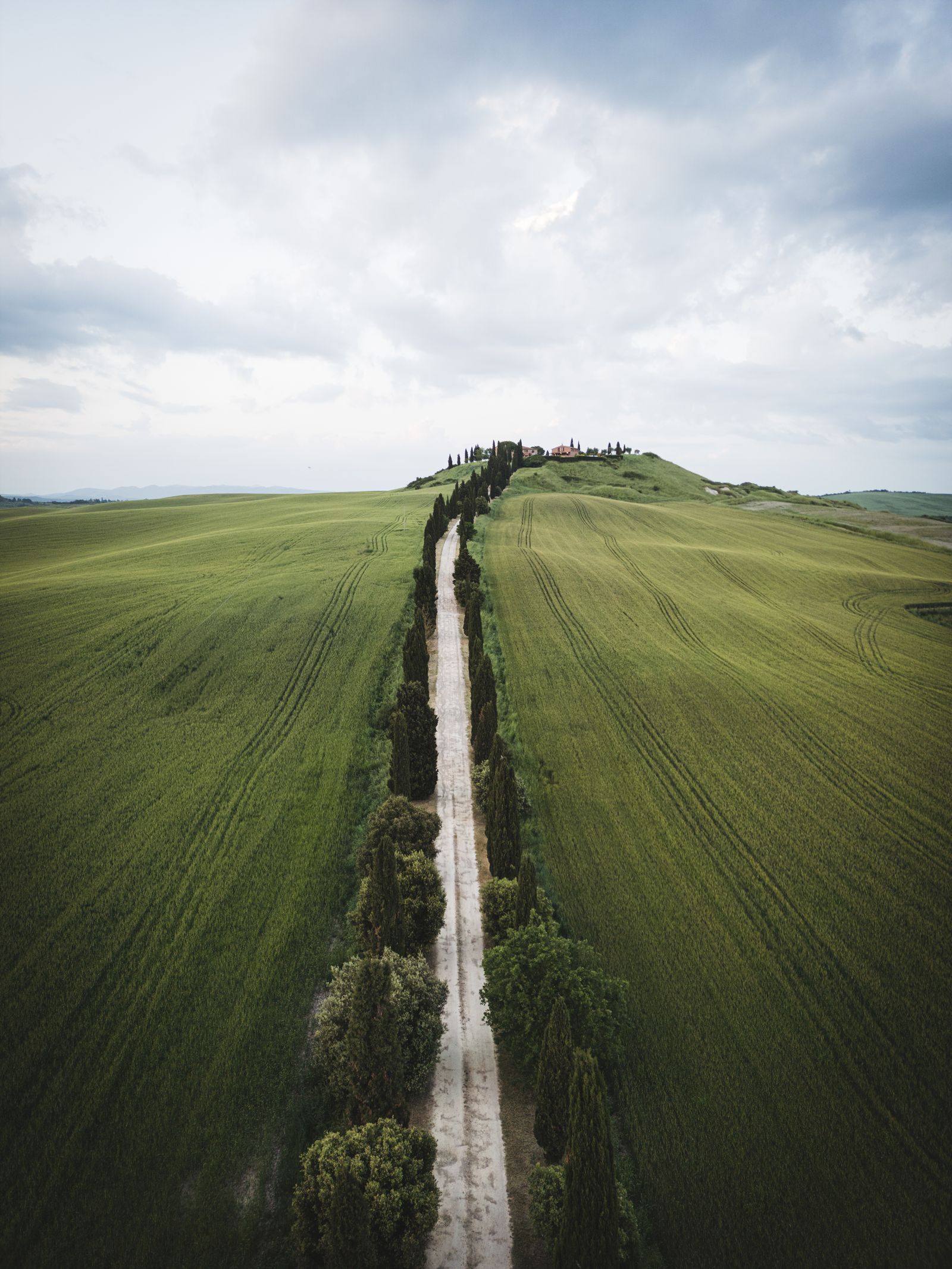 An idyllic cypress-lined country road through green Tuscan hills under a blue sky