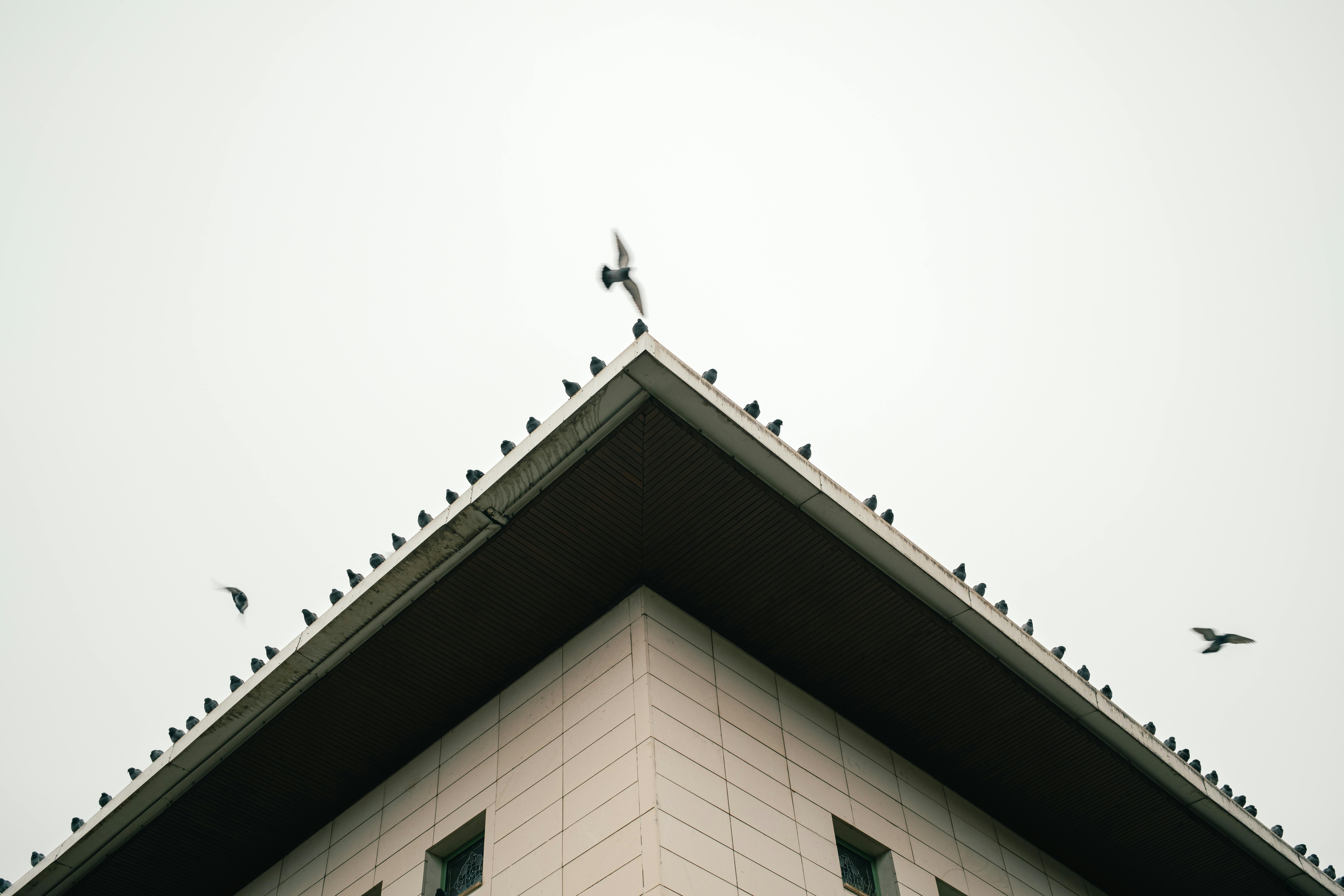 Miễn phí Ảnh lưu trữ miễn phí về ánh sáng tự nhiên, bất đối xứng, bầu trời Ảnh lưu trữ