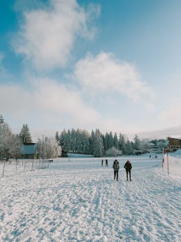 A serene winter scene in Chambéry showcasing snow-covered trees and open landscape.