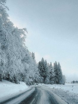 A serene winter road through a frosty forest in Chambéry, France, under a moody sky.