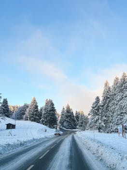 Serene winter road through snow-covered trees in the French Alps, capturing a frosty morning scene.