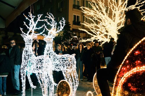 Free Crowd enjoys vibrant night scene featuring illuminated deer and holiday lights. Stock Photo