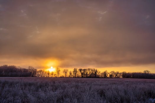 Captivating sunrise over frosty field in Weaver, Minnesota. Tranquil winter scene.