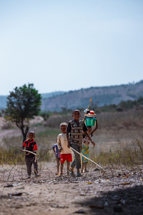 Free A group of children walking through a rural landscape in Karshi, Nigeria, depicting daily life outdoors. Stock Photo
