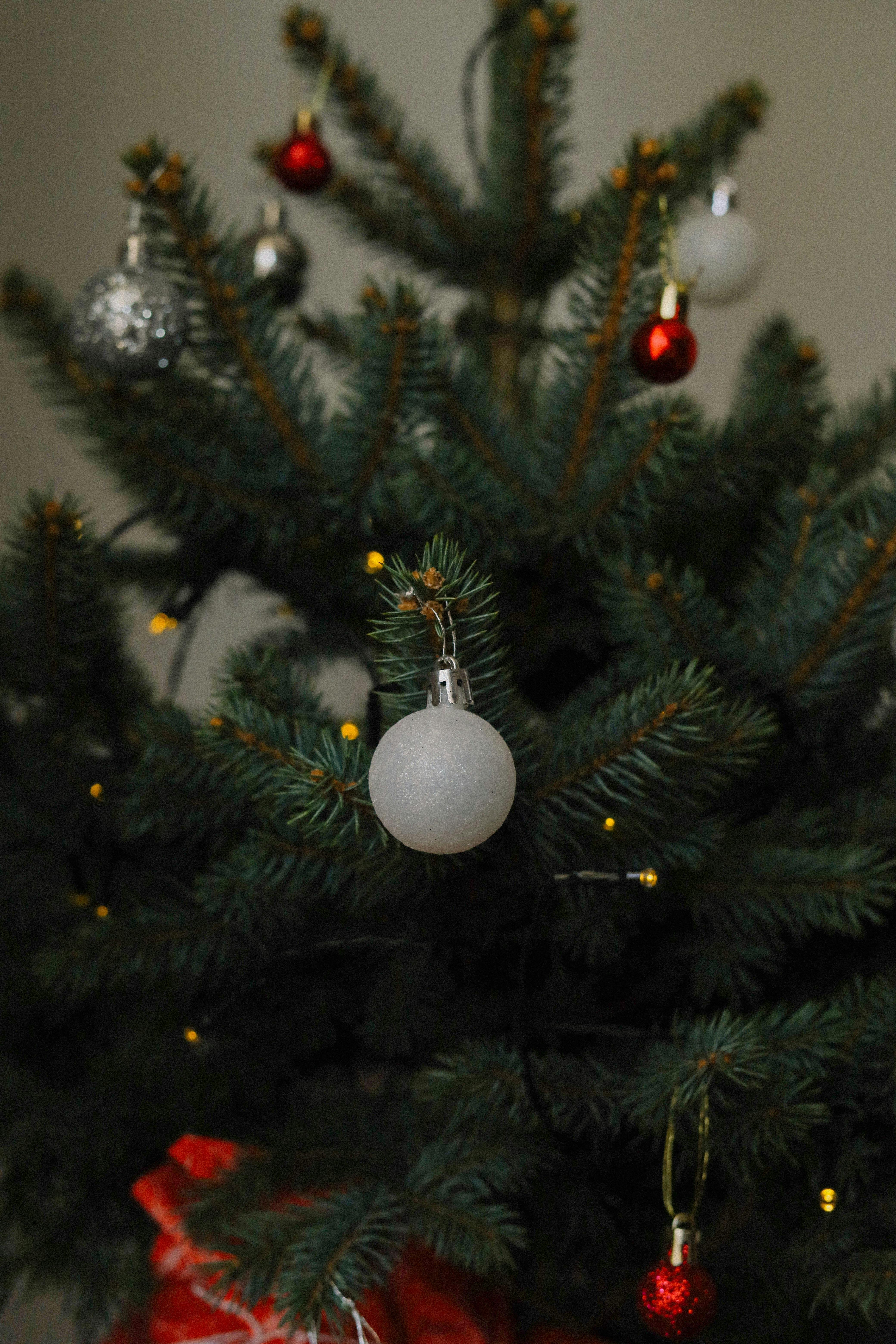Beautiful Christmas tree adorned with classic decorations, evoking holiday spirit.