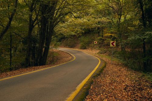 Free A serene winding road surrounded by colorful autumn foliage in a tranquil forest setting. Stock Photo