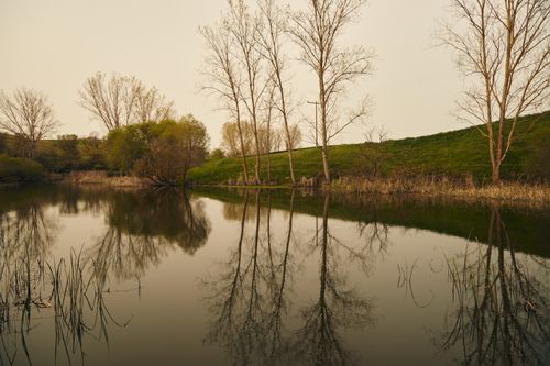 Free Serene lakeside scene with leafless trees reflecting in calm dark water at sunset. Stock Photo