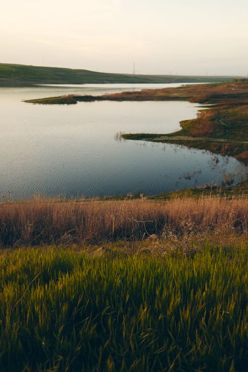 Free Capture the serene beauty of a lakeside landscape at sunset with vibrant grass and peaceful water reflections. Stock Photo