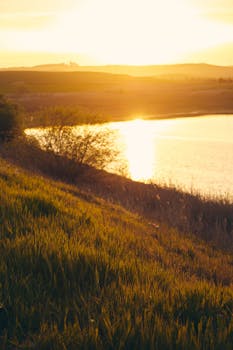 Peaceful sunset over a tranquil lake with lush greenery and vibrant skies.