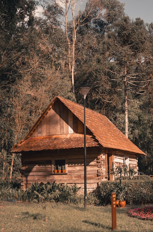 Brown Cabin Besides Green Trees