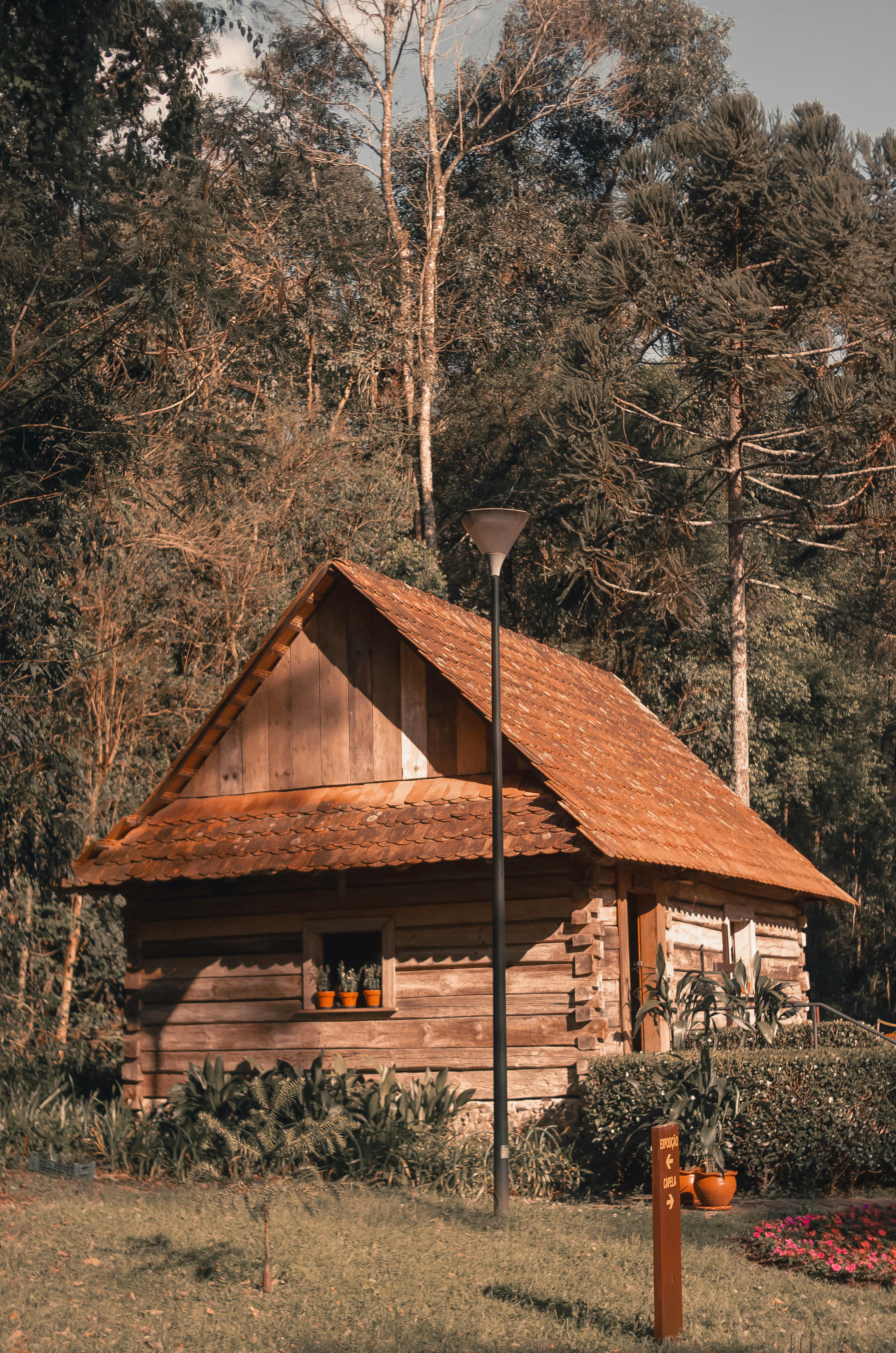 wood house wallpaper in forest