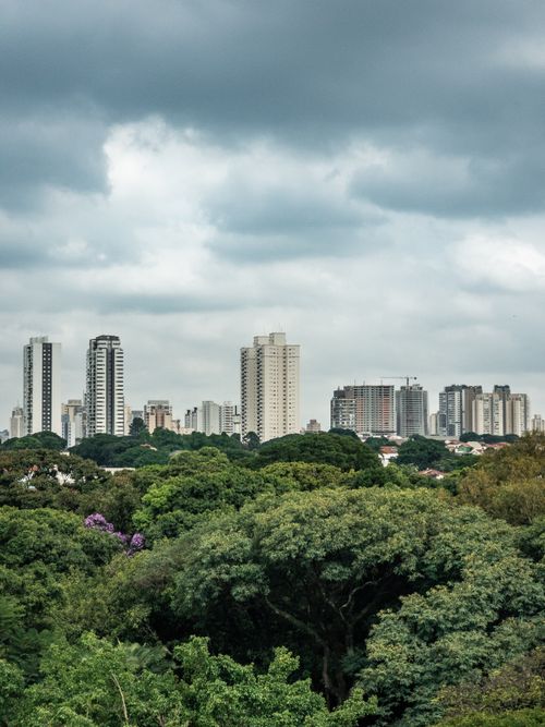 Free Skyline of São Paulo, Brazil with skyscrapers and lush greenery under a cloudy sky. Stock Photo