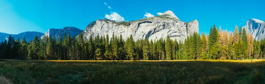 Panoramic view of Yosemite National Park featuring lush forests and majestic mountains under a clear summer sky.