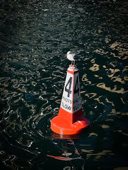 A seagull perched on a red buoy in Dubai's Marina waters, featuring nautical signage.