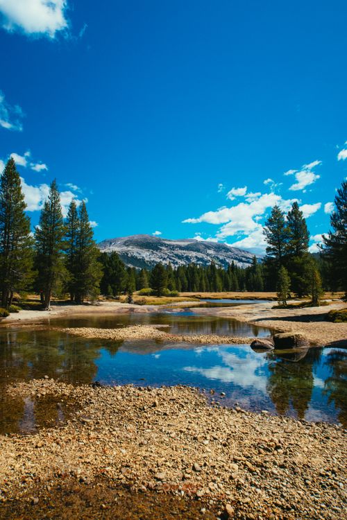 Free Peaceful mountain stream reflecting trees and sky, perfect summer landscape. Stock Photo