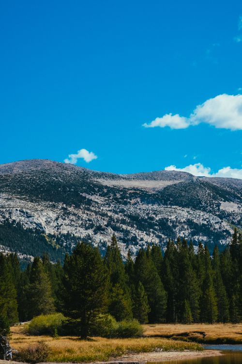 Free Breathtaking mountain landscape featuring lush pine forests under a clear blue sky. Stock Photo