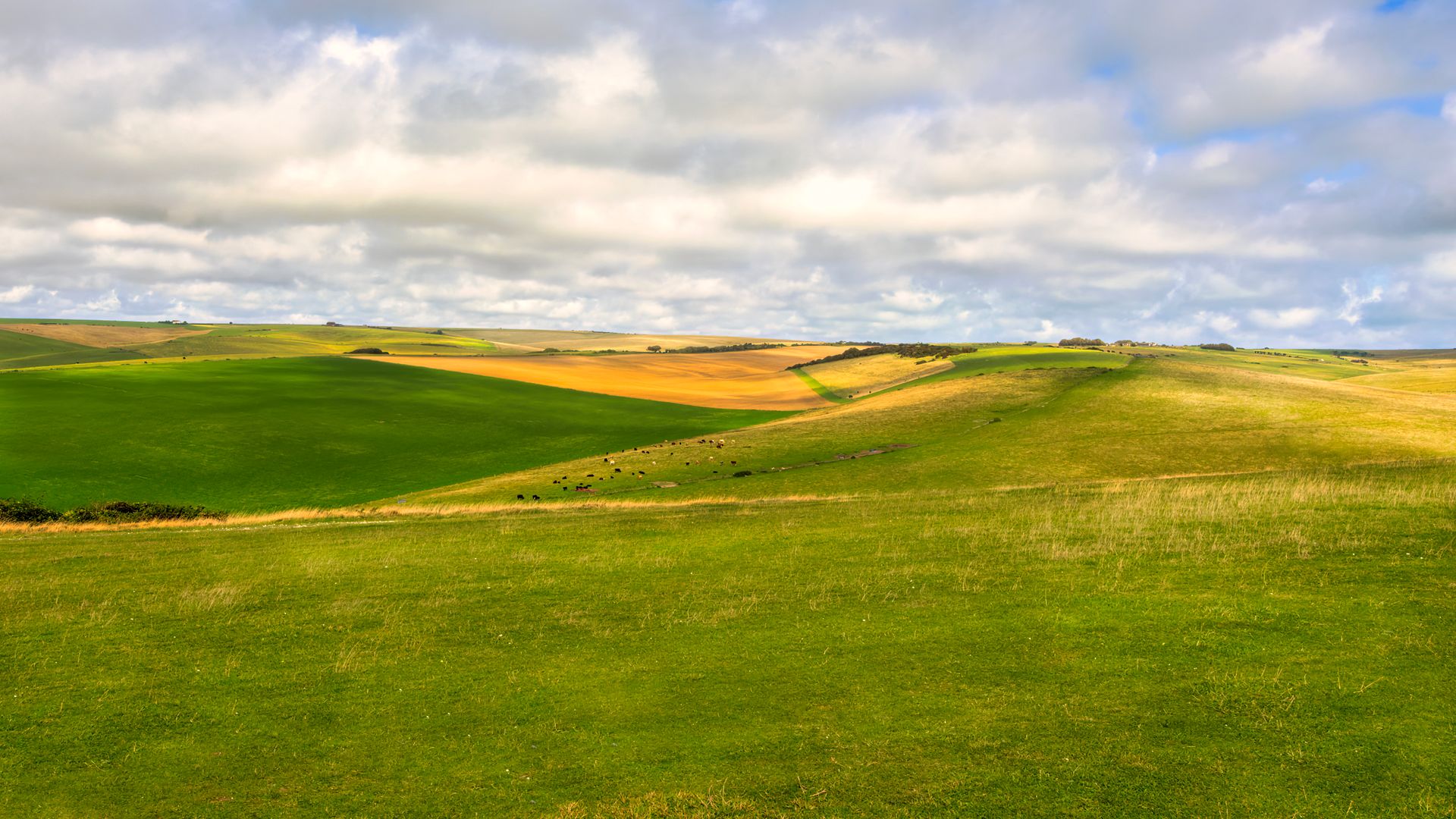 Rolling green hills of the English countryside
