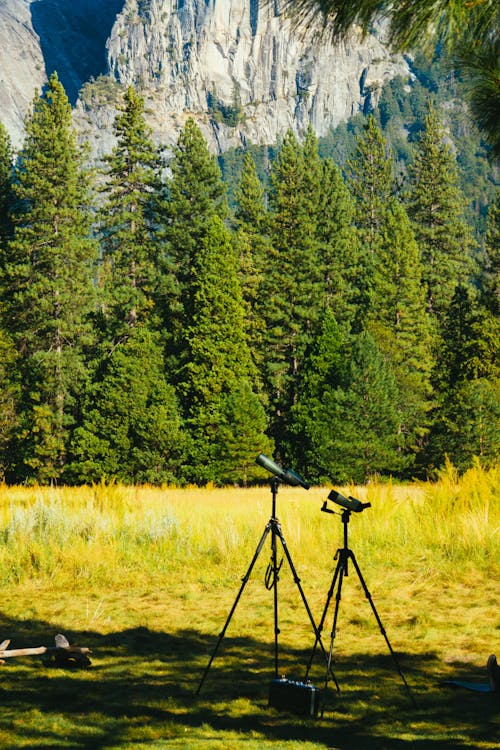 Two Telecopes With Tripods on Field