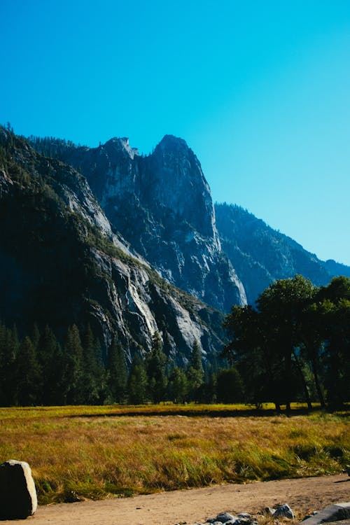 Free Trees and Rocky Mountains Stock Photo
