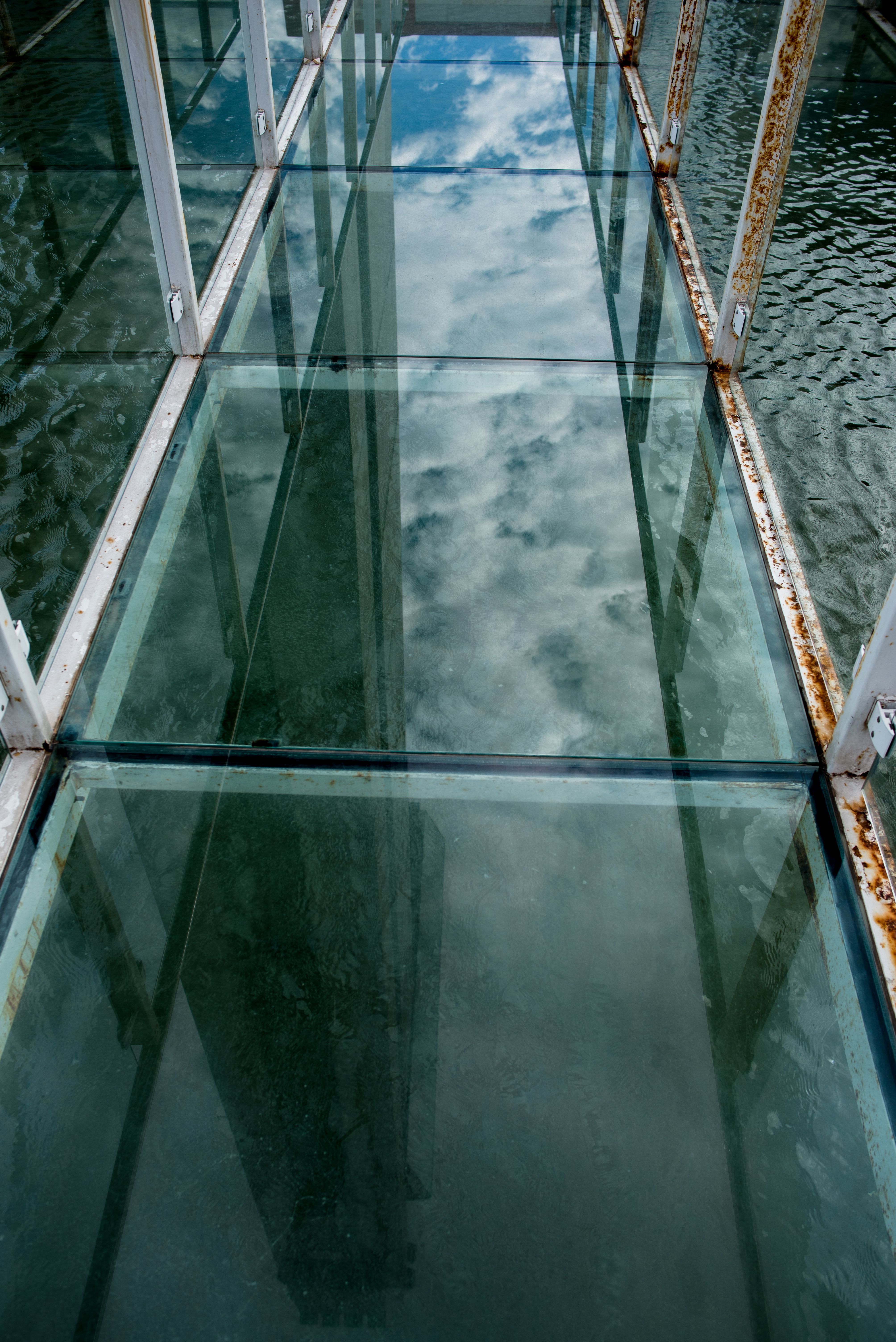 Water Spit Transparent Photos, Download The BEST Free Water Spit ...