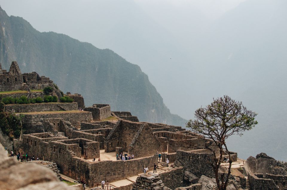 in Machu Picchu
